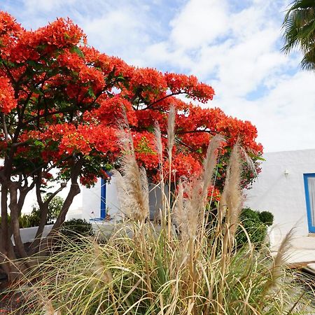 Timfay Villa Corralejo Buitenkant foto