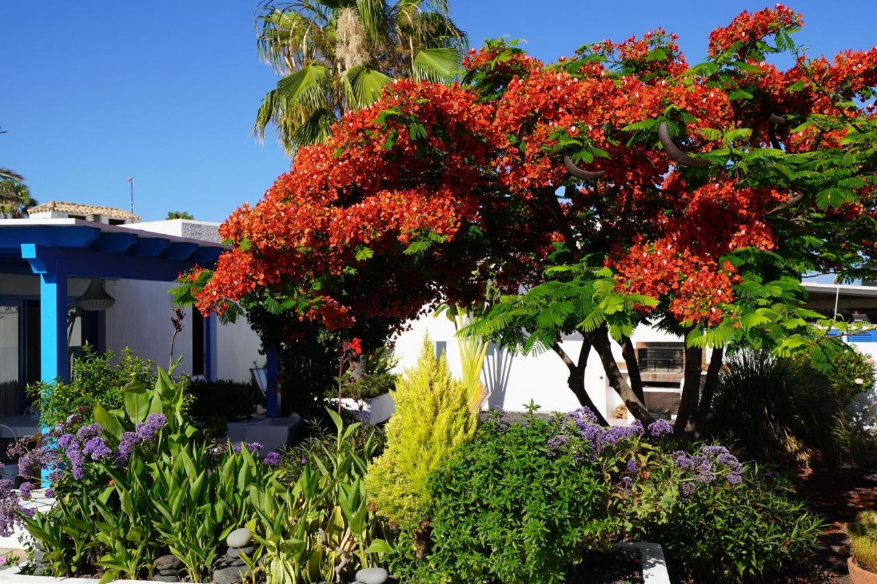 Timfay Villa Corralejo Buitenkant foto