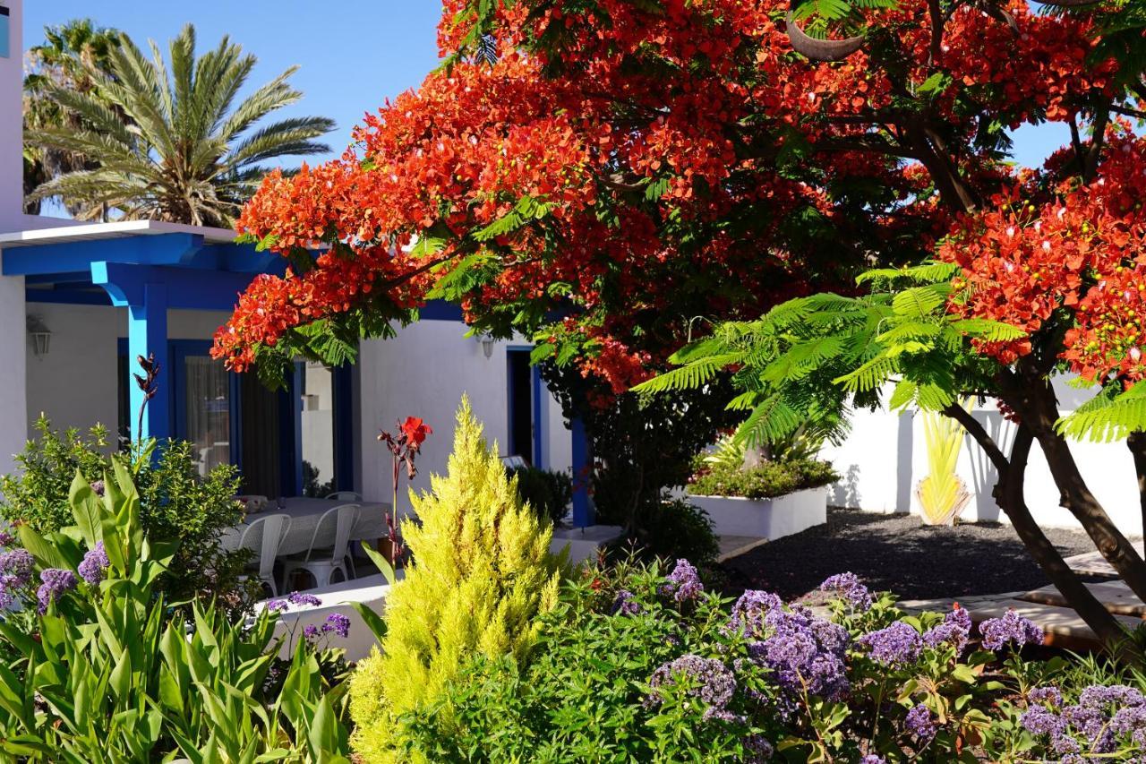 Timfay Villa Corralejo Buitenkant foto