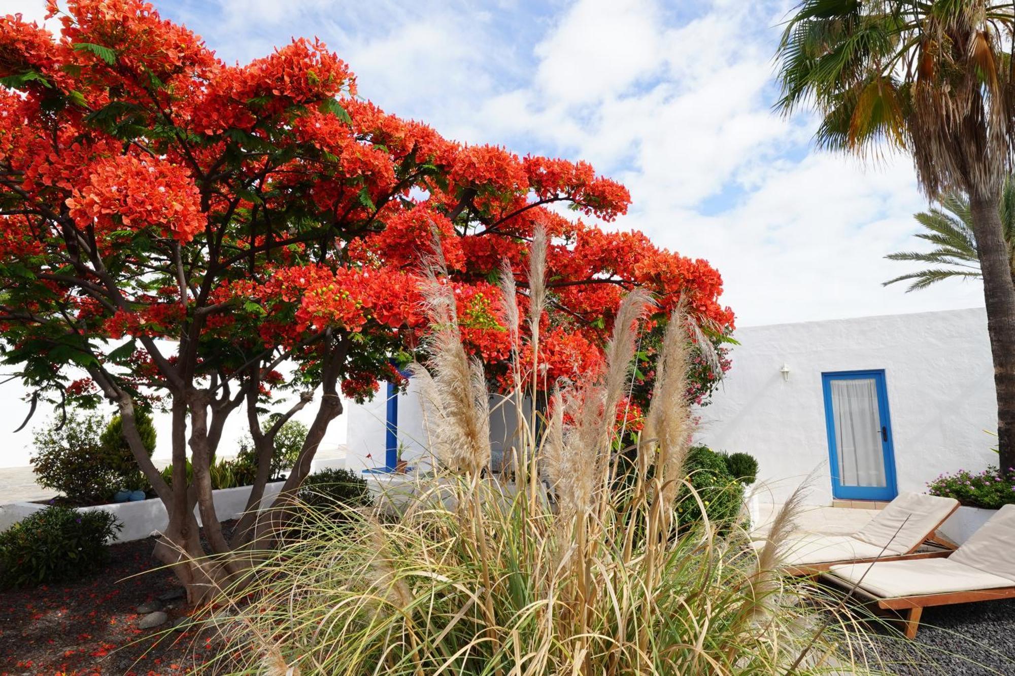 Timfay Villa Corralejo Buitenkant foto