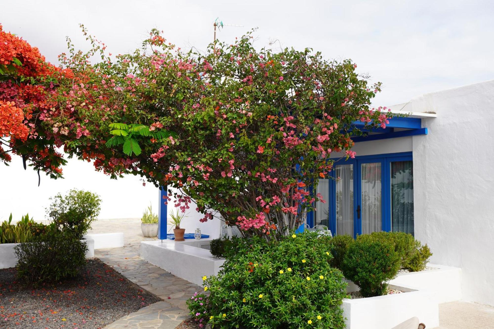 Timfay Villa Corralejo Buitenkant foto